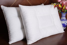 羽翼生輝，暖動蕭山 第十五屆中國羽絨制品及服裝服飾博覽會暨首屆蕭山國際羽絨節(jié)啟幕