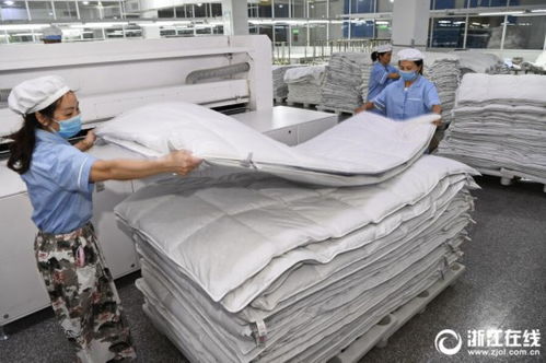杭州羽絨制品走俏海外，匠心工藝引領全球市場新潮流